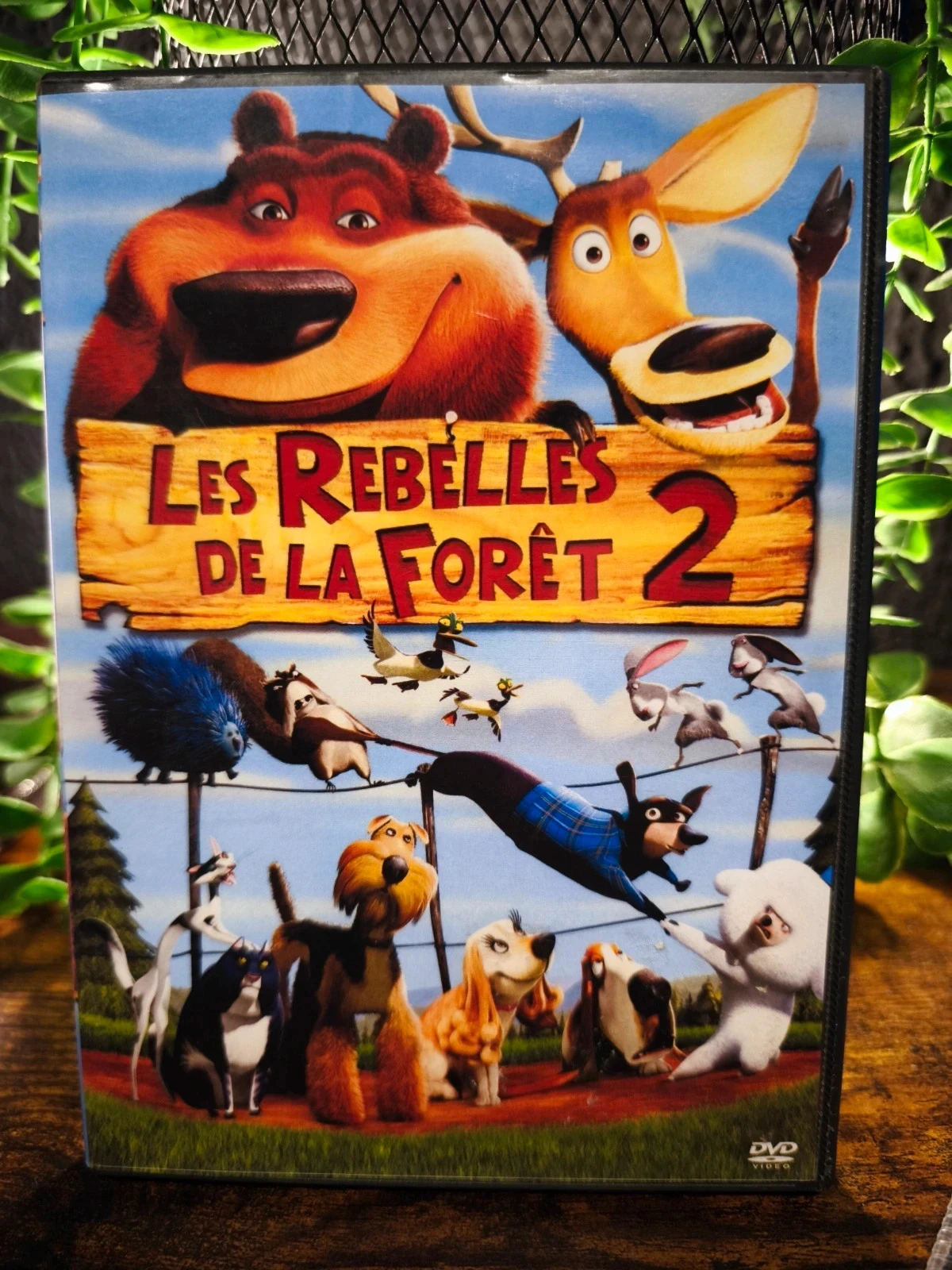 Les rebelles de la forêt 2